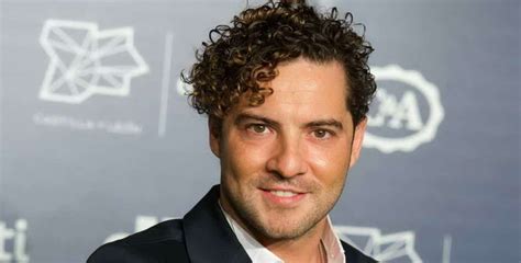 david bisbal net worth|Davidbisbaloficial